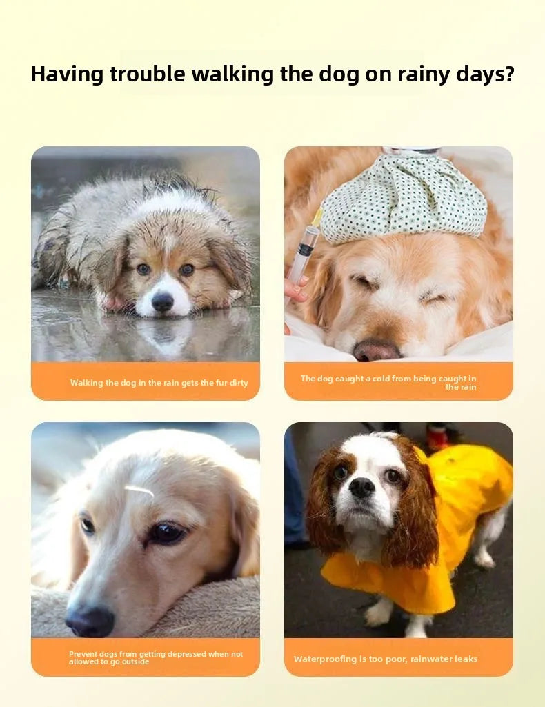 Pet Raincoat Transparent Dog Raincoat Waterproof and Windproof Pet Clothing Large Dog Pet Dog Dog Costume