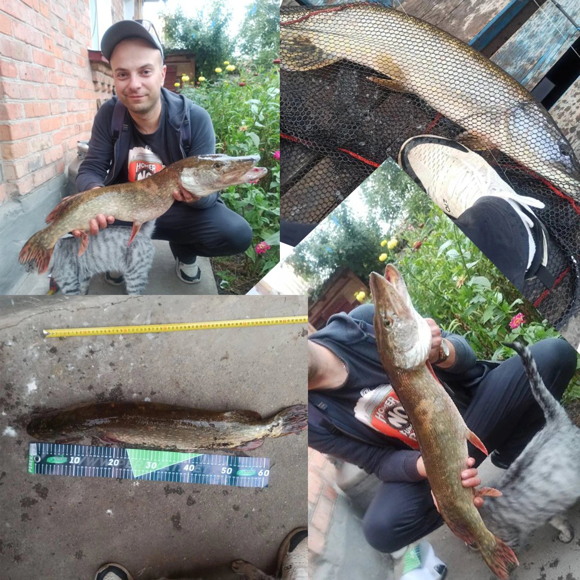 BIUTIFU BIGFISH Carp Fishing Rod 4.5/4.2/3.9/3.6/3.0m T800 Carbon 3.5lbs Throwing 40-200g Travel Surfcasting Spinning Hard Pole