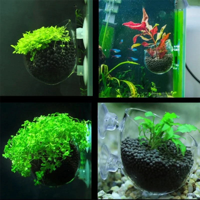 Glass Aquarium decoration Hanging fish tank Mini Crystal Pot Polka Water potted planting cylinder cup aquarium accessories