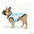 Lightweight Mesh Dog Jersey for Spring And Summer Breathable Pet Clothing Comfortable Doggy Shirt