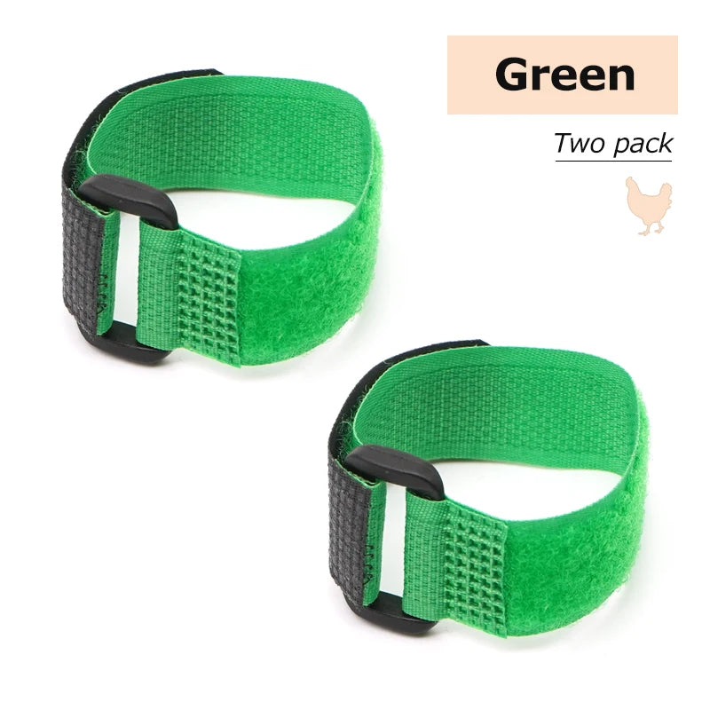 2Pcs No Crow Rooster Collar Chicken Collar Noise Free Anti-Hook Neckband Poultry Collars Supplies