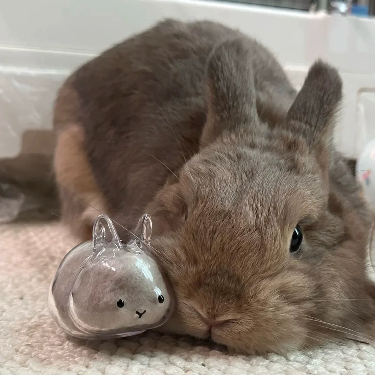 Transparent Rabbit Hair Keepsake Bottle Pet Hair Storage Capsule Keychain Thoughtful Gift for Rabbit Lovers And Owners