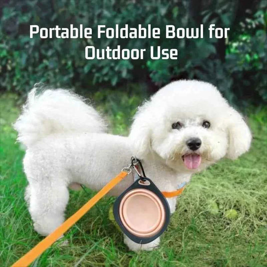Portable Folding Pet Food Bowl Cat Dog Silicone Collapsible Feeder Bowl Travel Outdoor Puppy Water Container With Hook 320ml