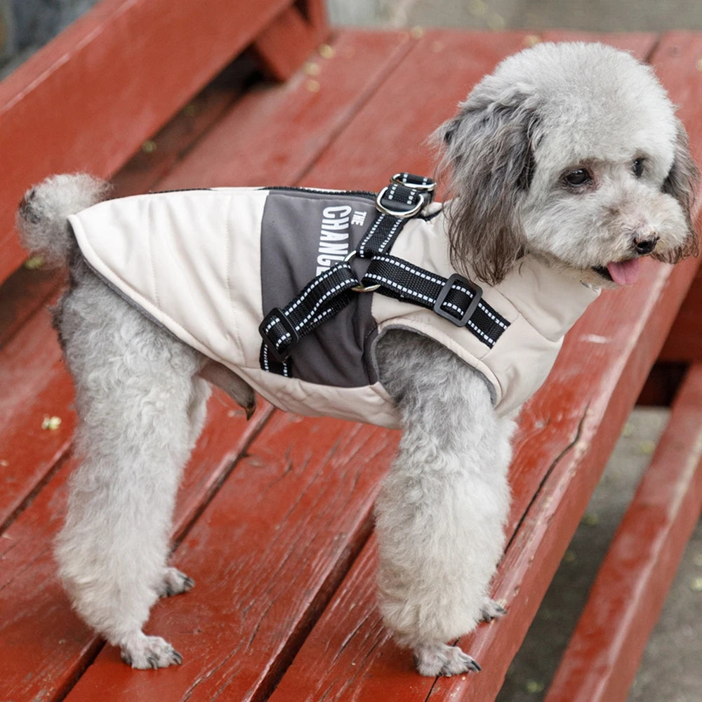 Pet Dog Wind Breaker with Dual D Leash Vest Dog Jacket Warm Dog Hoodie Warm Dog Clothes