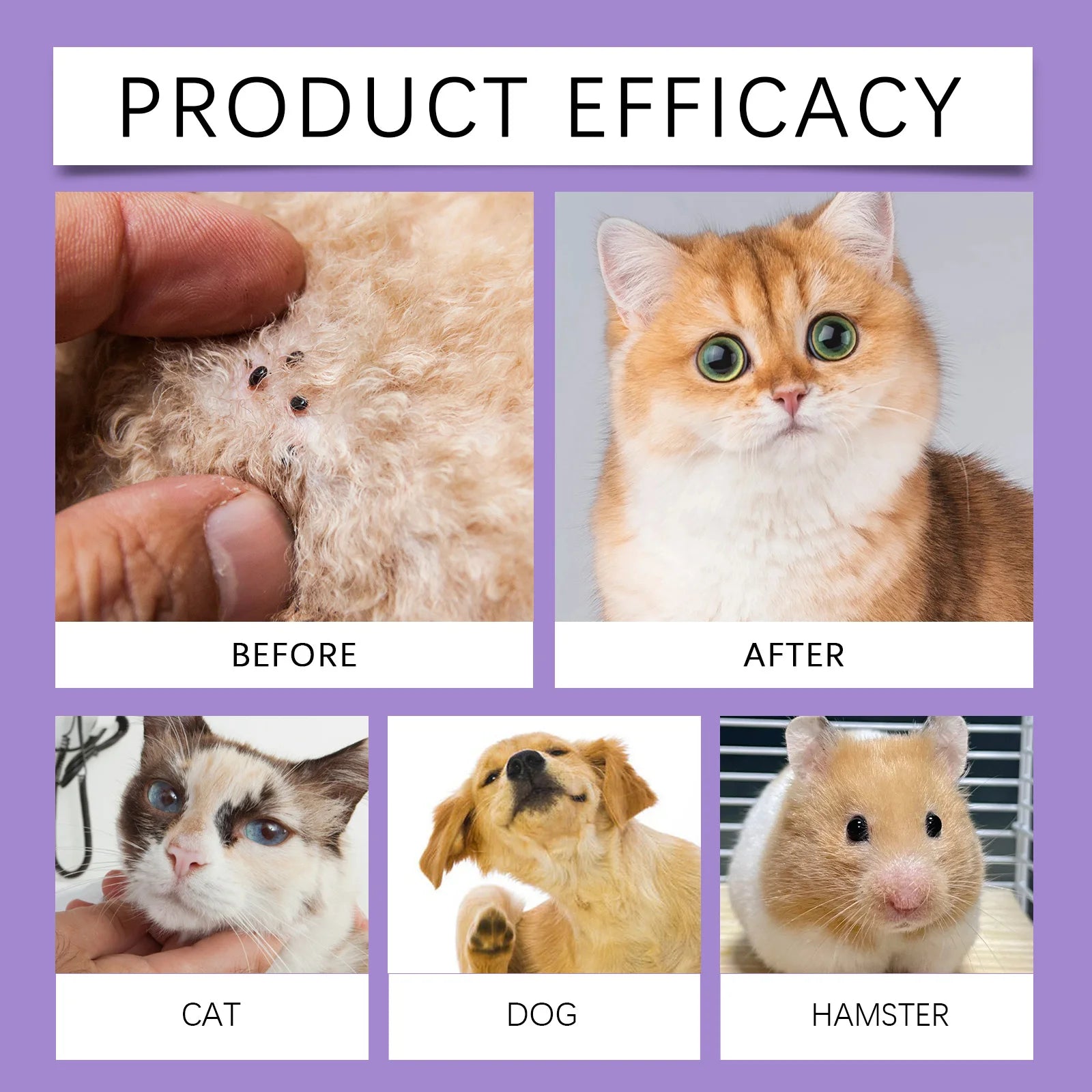 Pet Flea Repellent Spray Effectively Removing Fleas Ticks Relieve Skin Itching Natural Ingredients Non Irritating Pet Pest Spray