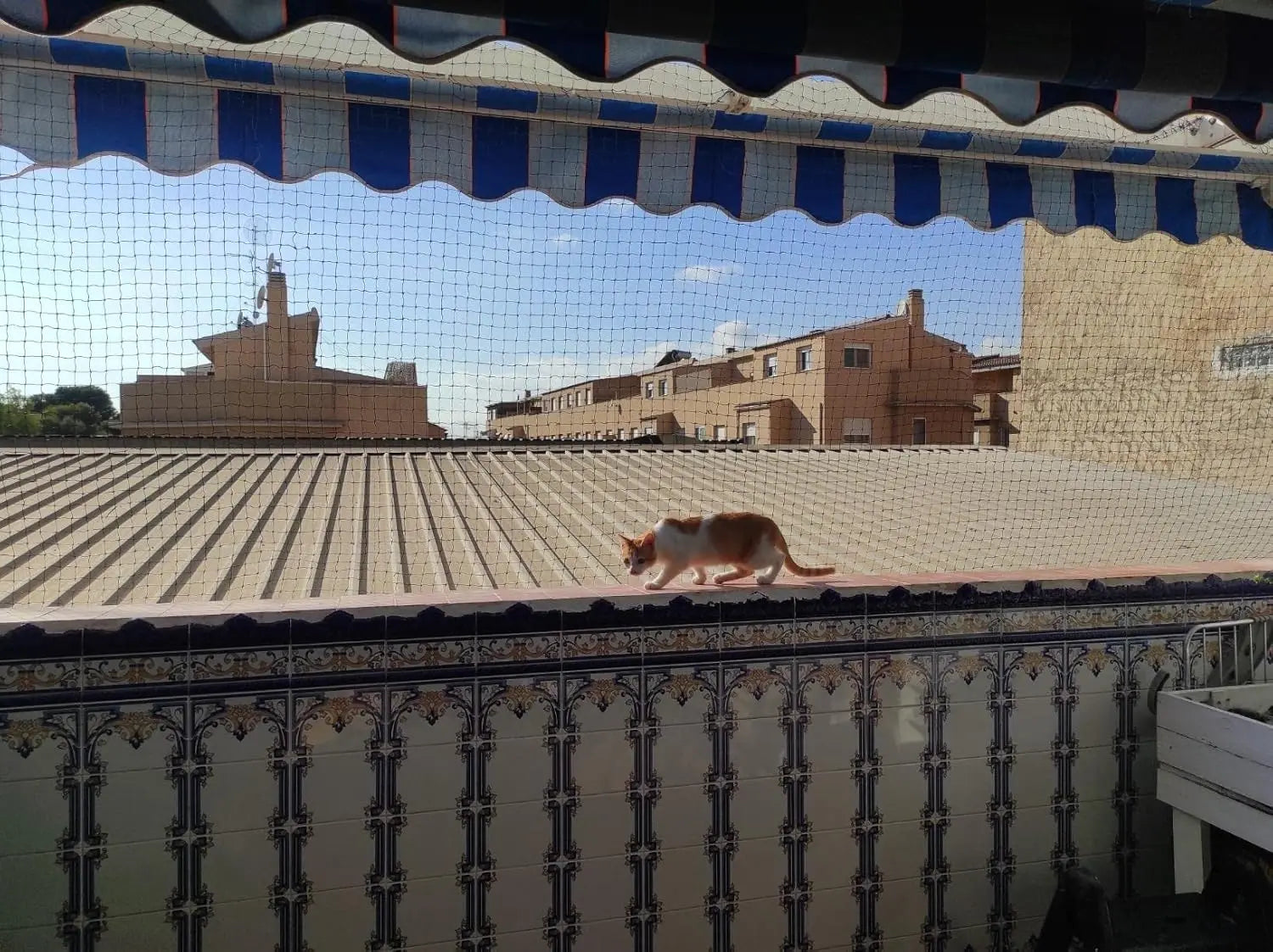 Steel Wire Reinforced Cat Netting for Balcony,Cat Anti-Fall Net,Garden Net Anti Bird Netting with Wire for Windows,Stair Lawn - Play Paws Toys