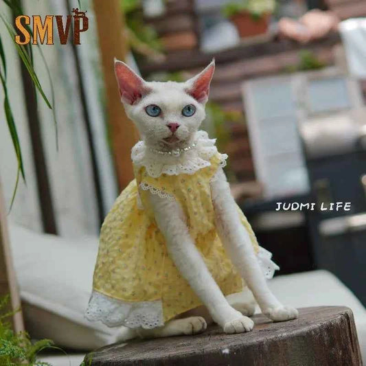 German Shorthair Cat Summer Bubble Cotton Yellow Floral Puffy Lace Heml's Dress Cats Clothes Kawaii Clothes