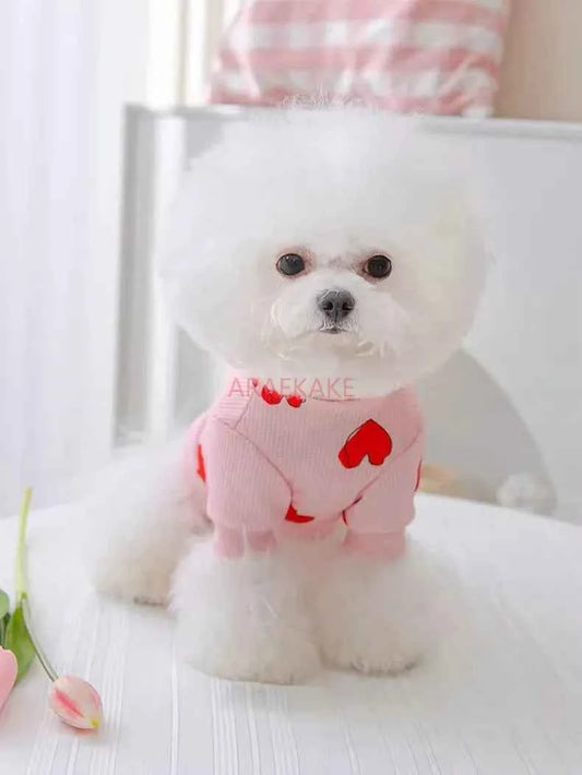 Printed mosquito proof hoodie for small dogs, summer thin clothing for pets, small puppies, spring and summer styles
