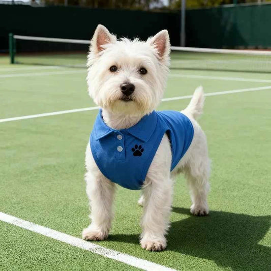 Pet Dog Polo Shirt Casual Solid Color Sports Vest Breathable Summer Clothes for Small Medium Dogs Tennis Golf Outfit