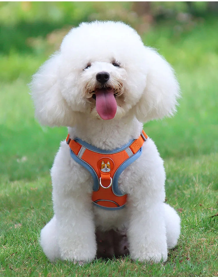 Pet Dog Harness and Leash Set Adjustable Flannel Chest Harness Reflective Breathable For Small Dogs Teddy Chihuahua Pet Supplies