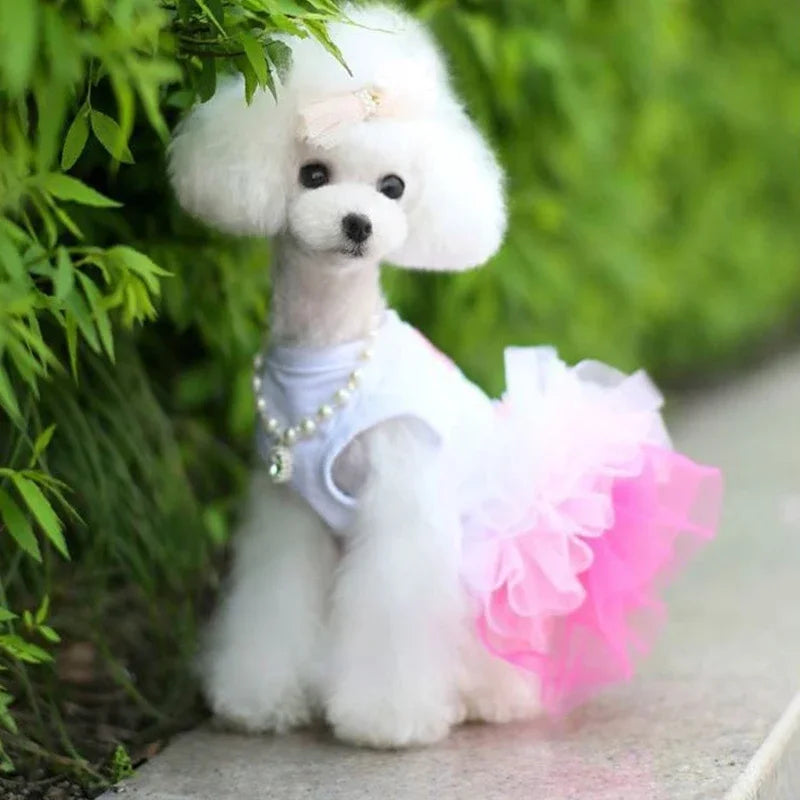 Puppy Summer Dress Dog Cat Lace Skirt Pet Clothing Chihuahua Stripe Skirt Cat Princess Apparel Cute Puppy Clothe Dog Accessories