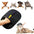 Pet Hair Cleaning And Collection Gloves Pet Double-sided Multi-functional Beauty Glove Tool Reduce The Pressure Of Pet Ownership