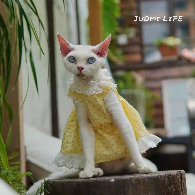 German Shorthair Cat Summer Bubble Cotton Yellow Floral Puffy Lace Heml's Dress Cats Clothes Kawaii Clothes