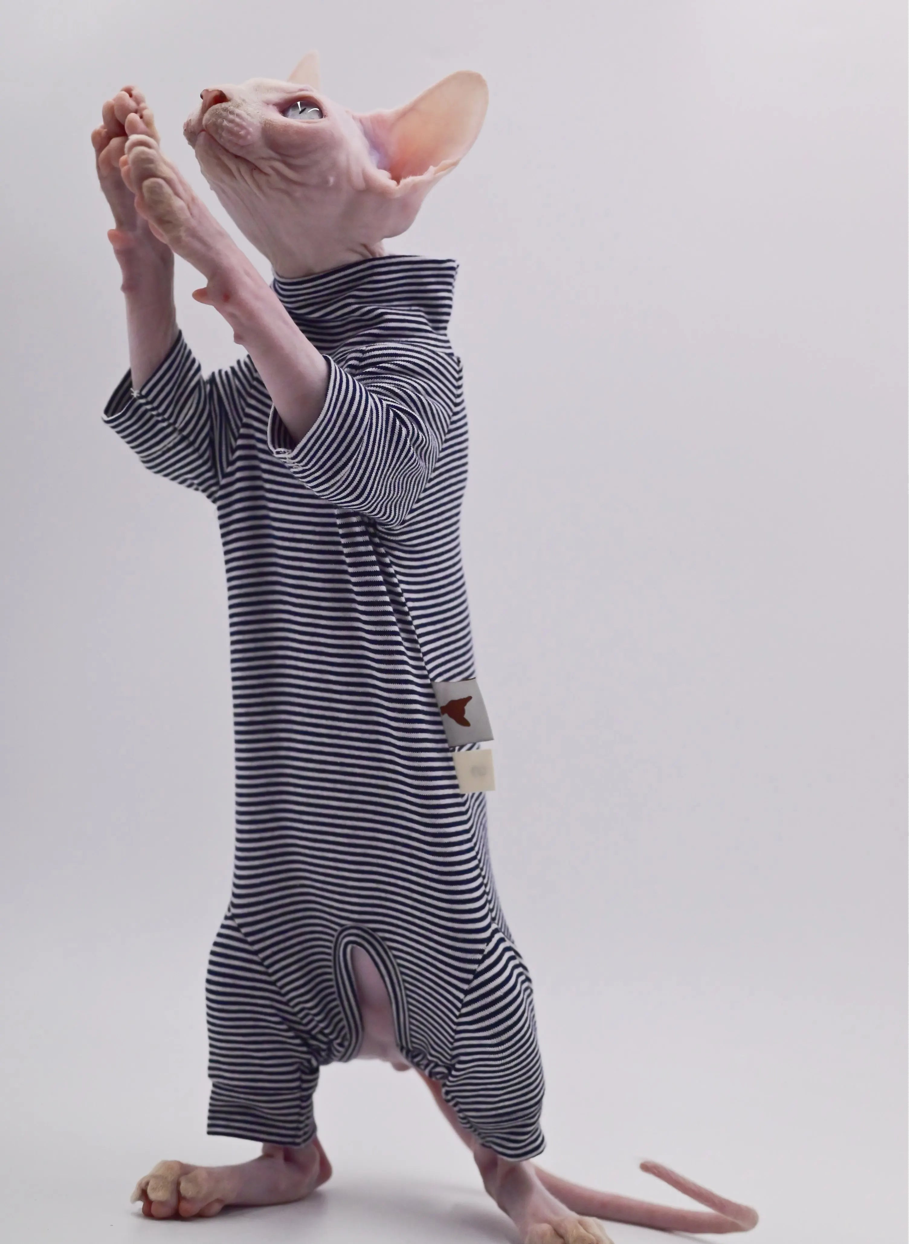 Sphynx Cat Clothes Four-legged Soft and Durable Hairless Cat Clothes for Devon Rex Cats, Cornish, and Small Cats