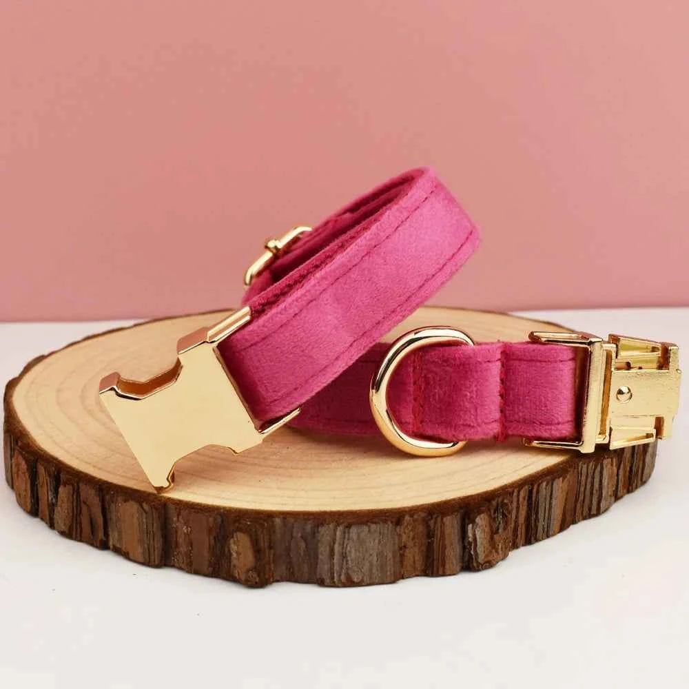 Velvet Collar Free Engrave Dog Collar Leash For Medium Big Pet Necklace Dog Accessories Dog Collars