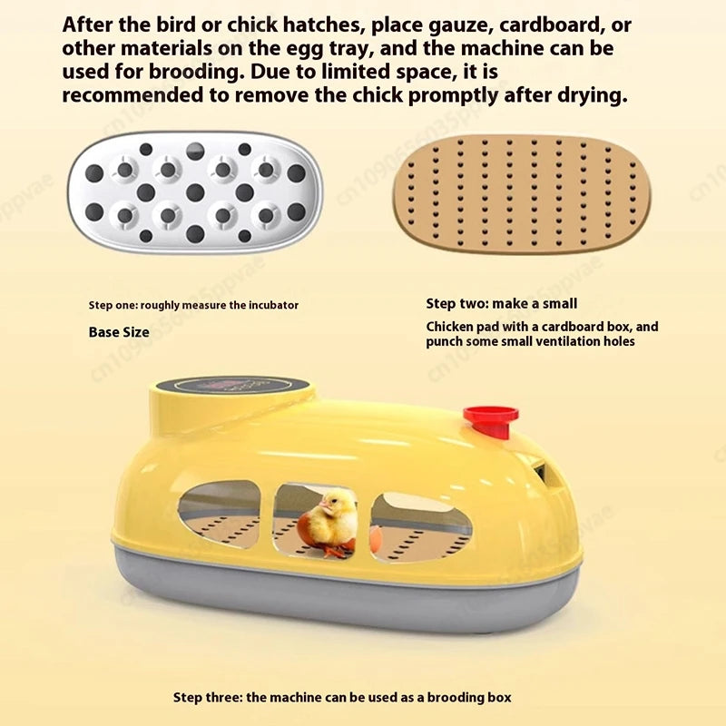 Wholesale Price Smart Egg Incubator For Quail And Bird Eggs With Auto Turn Function And Digital Thermostat Perfect For Hatching