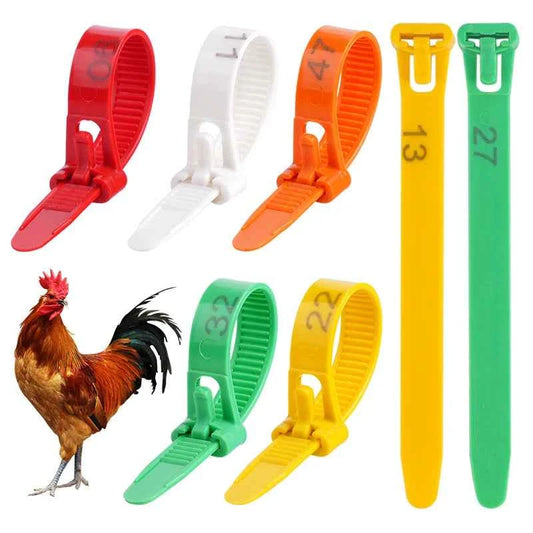 50PCS/100PCS Adjustable Chicken Foot Rings 5 Color Diameter Chicken Poultry Flexible Retractable Foot Rings Poultry Marking Card
