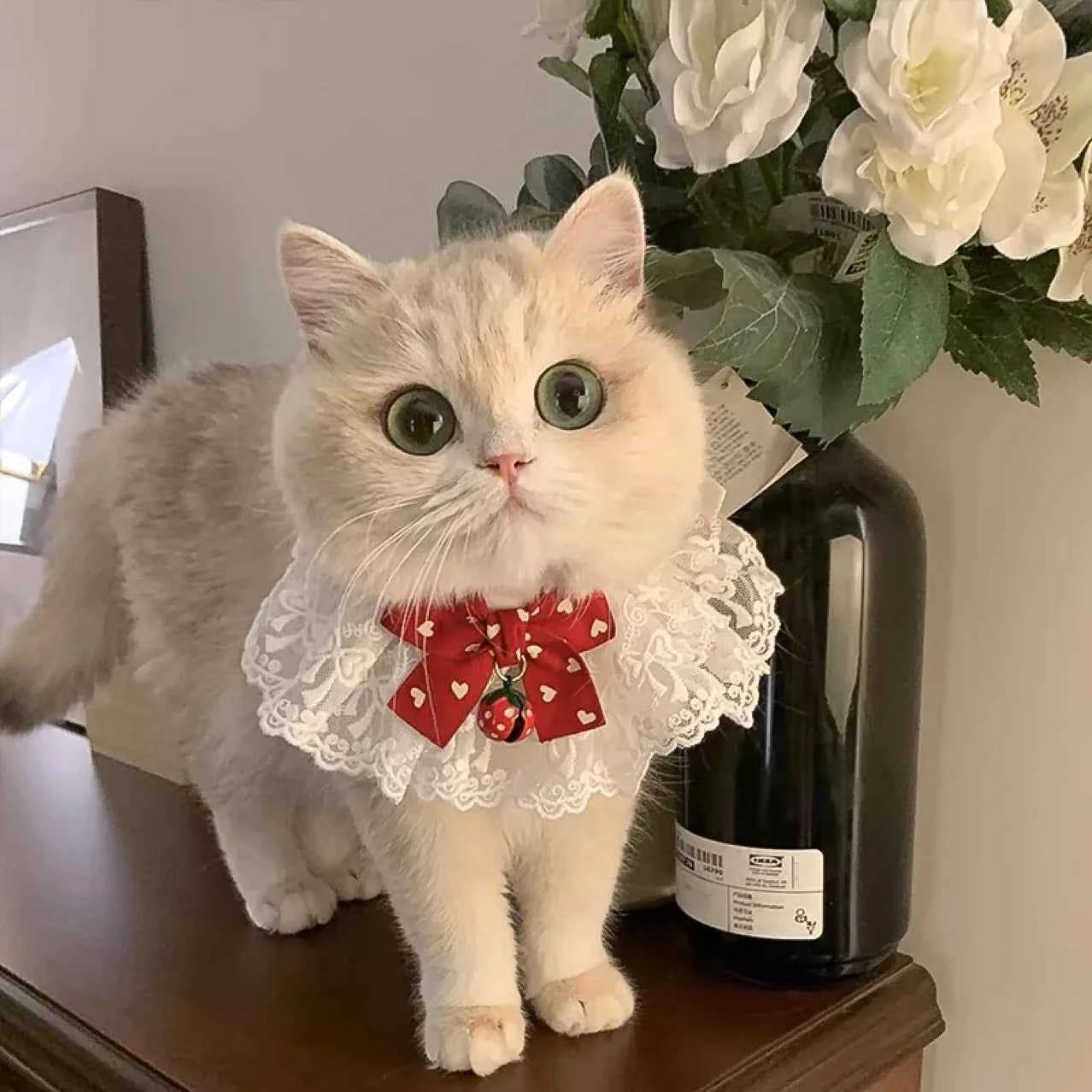 Cute Lace Bow Pet Collar Cat Dog Drool Towel Summer Thin Pet Pendant Necklace with Cat Strap Accessories