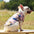 Hawaiian Style Pet Dog Clothe Summer SandBeach Dog Shirts for Small Medium Dogs Puppy Cat Clothing Ropa Perro Pug French Bulldog