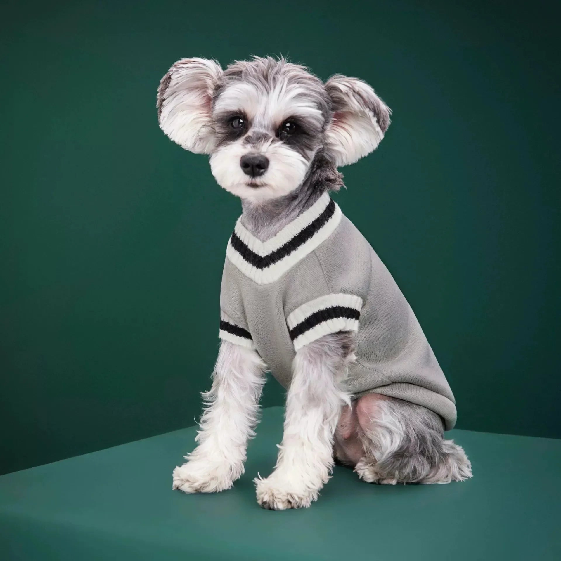 Autumn Winter Pet Cat Dog Sweater Warm Coat For Small Medium Large Dogs Kitten Pullover Puppy Vest Warm Pet Clothes Cat Costume - Play Paws Toys