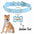 Customized Leather Dog Collar With Bone-Shaped Pet Tag, Double-Sided Engraved Pet Name And Phone, Metal Decoration Anti-Lost Foo