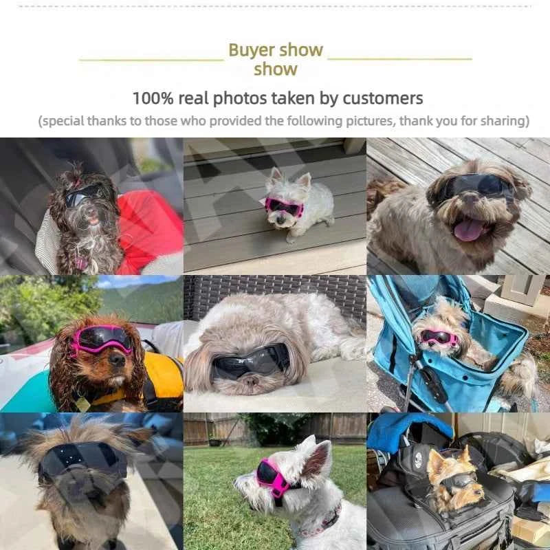 UV Protective Puppy Goggles Cool Protection Eyewear Dog Cat Sunglass for Small Dog Outdoor Riding Pets Decoration Accessory