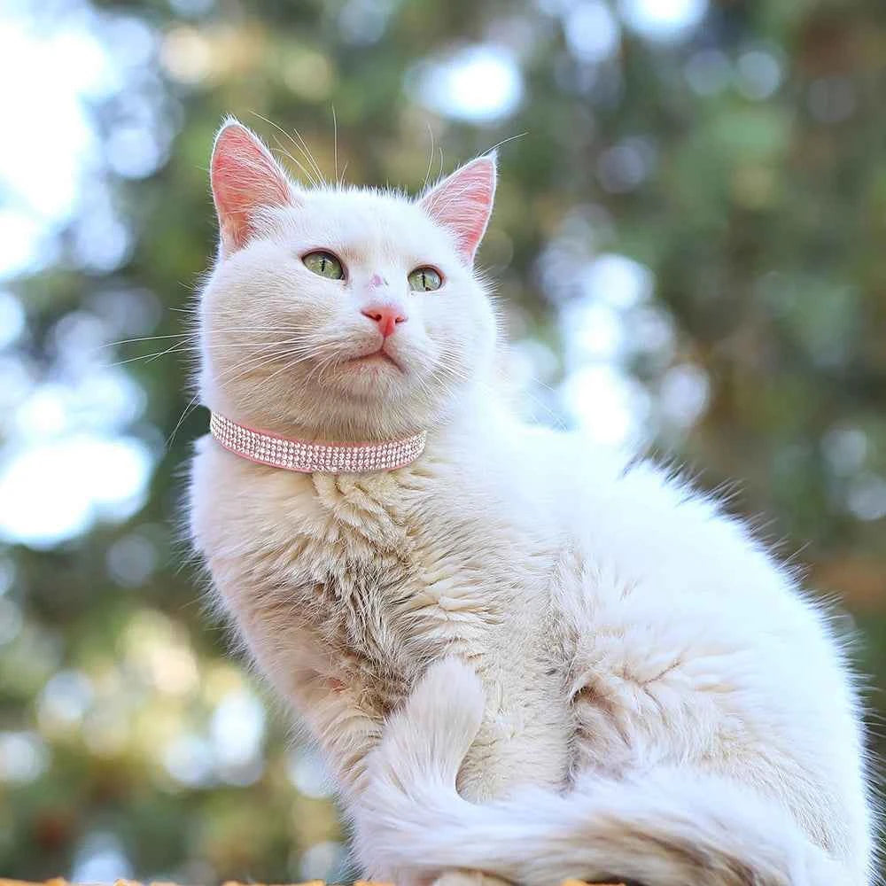 Soft Pink Suede Leather Cat Collar - Bling Rhinestone Design with Bell, Safety Breakaway & Adjustable XS/S for Cats & Puppies