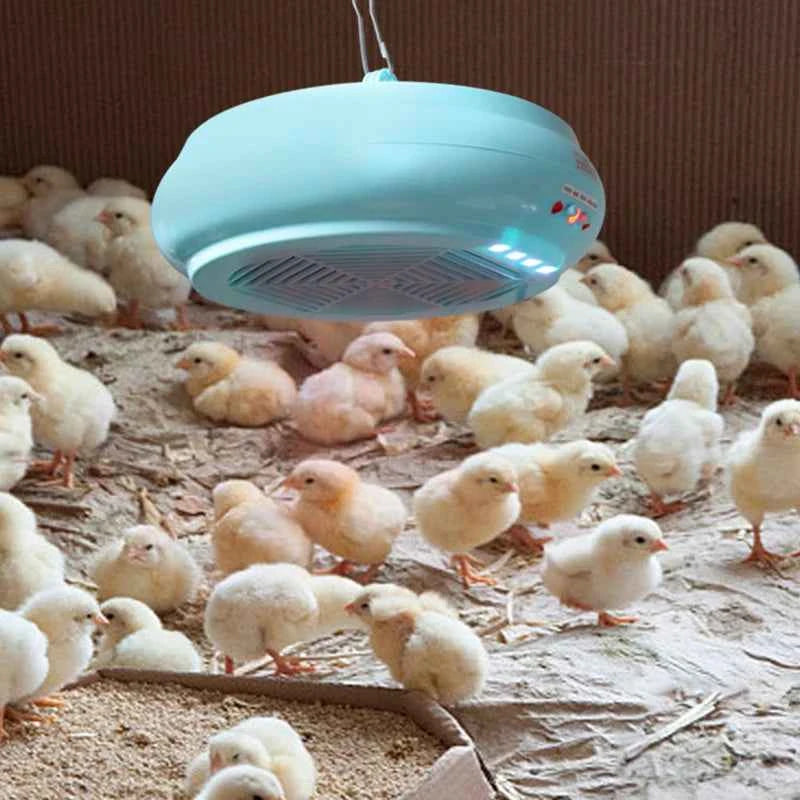 220V Pet Poultry Intelligent Heating Lamp Temperature Control Air Warming Remote Control Heater Warm Light Brooding Incubator