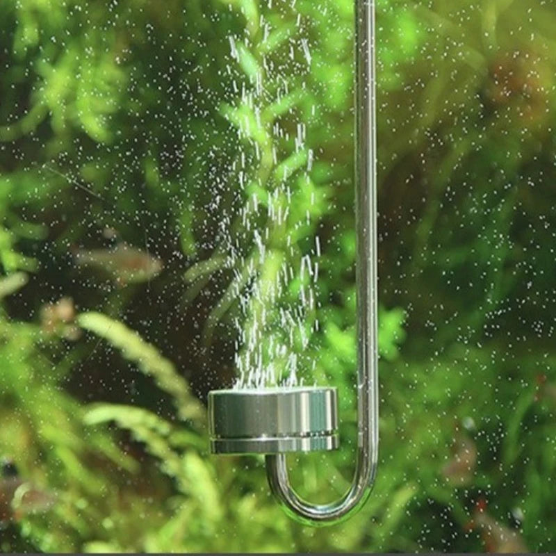 Aquarium CO2 Nebulizer Diffuser Stainless Steel Aquatic Plants Co2 Diffuser Generator Equipment Accessories CO2 Diffuser