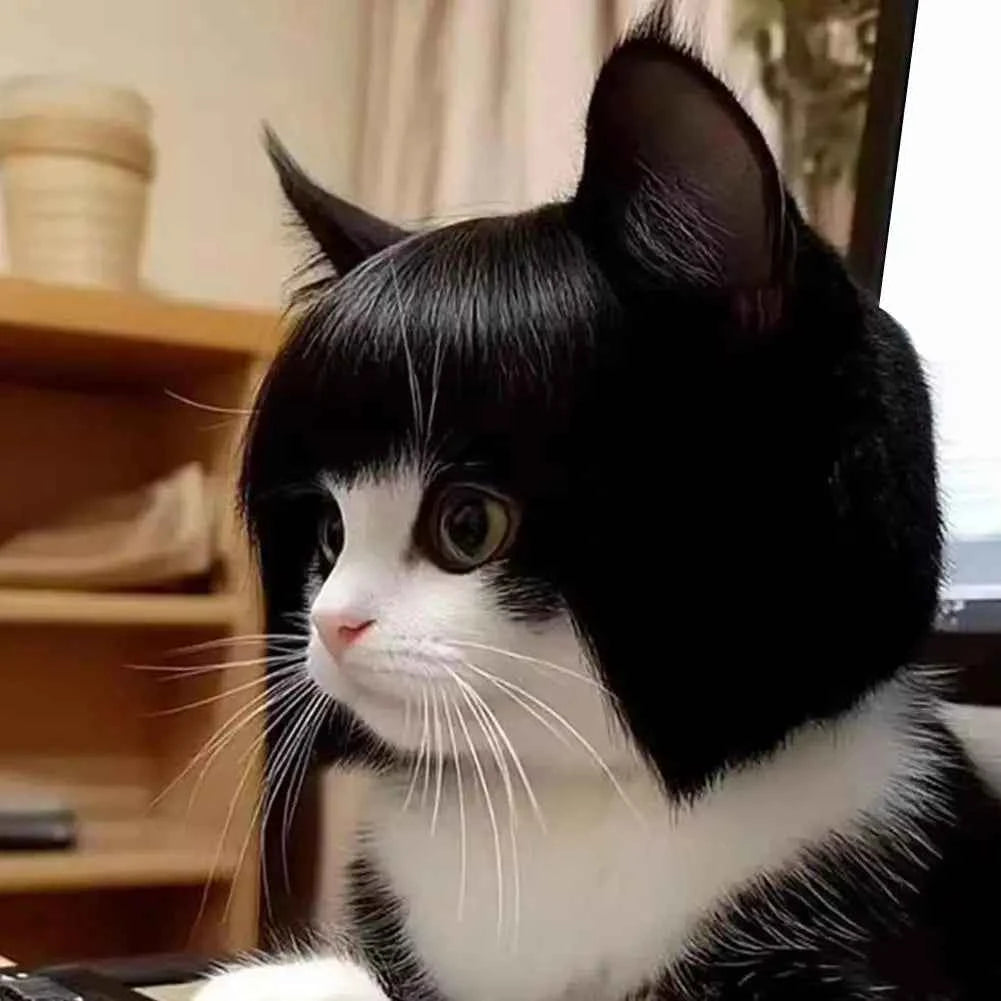 Cat Wig Accessories Dog Headdress Funny Costume Puppy Cosplay Dress Up Funny Pet Wig Cosplay Costume for Cats Dogs 2026 New