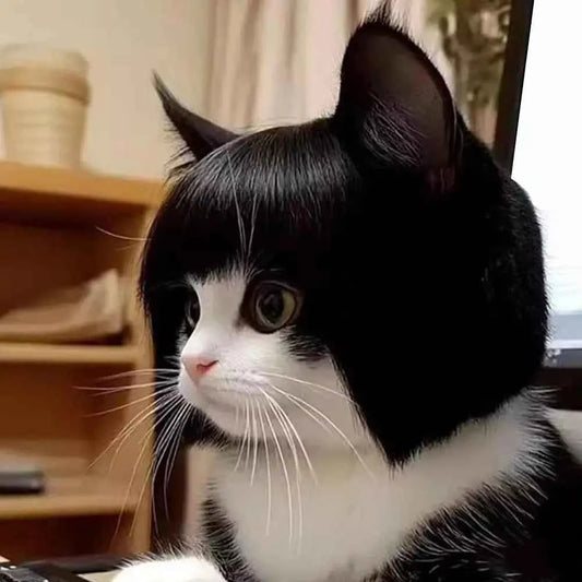 Cat Wig Accessories Dog Headdress Funny Costume Puppy Cosplay Dress Up Funny Pet Wig Cosplay Costume for Cats Dogs 2026 New