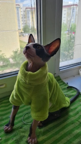 Fashionable Clothes For Cats Sphynx Cat Sweater Kitten Clothing Hound Dog Hoodie Clothes For Sphinx Cat Outfit Pet Jumpsuits - Play Paws Toys
