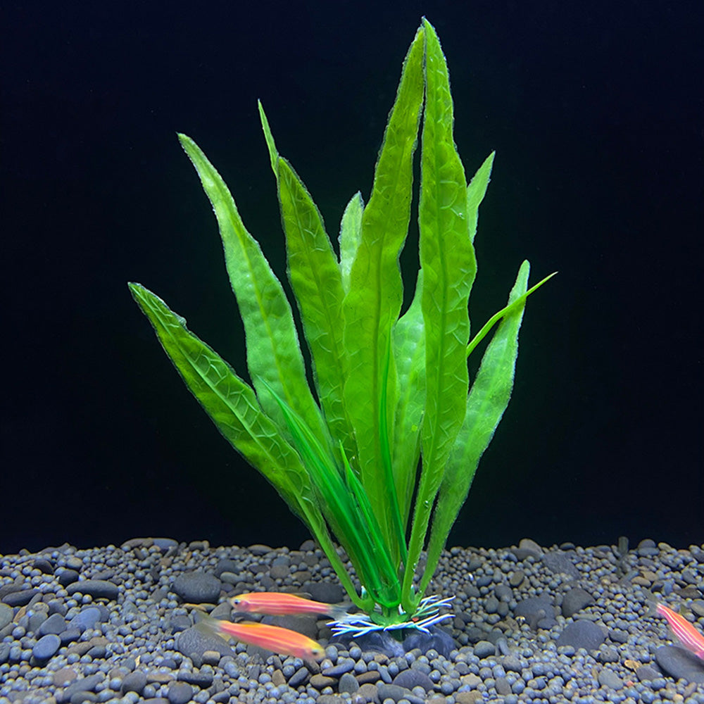 1PC 18cm Plastic Simulation Water Glass Fish Tank Landscaping Imitation Water Plant Aquarium Ornament DIY Fish Tank Decor