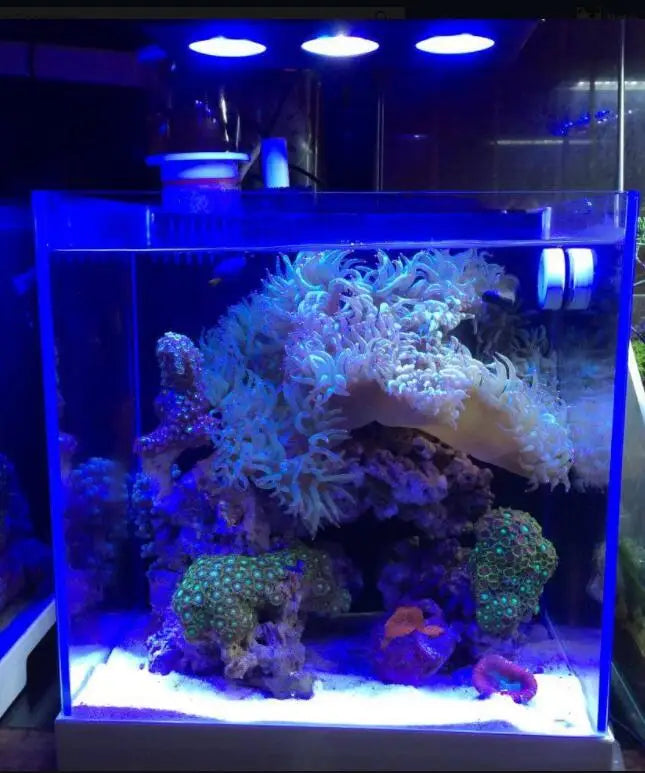 Spectra Nano 029 Aquarium Light 30W Saltwater Lighting with Touch Control for Coral Reef Fish Tank