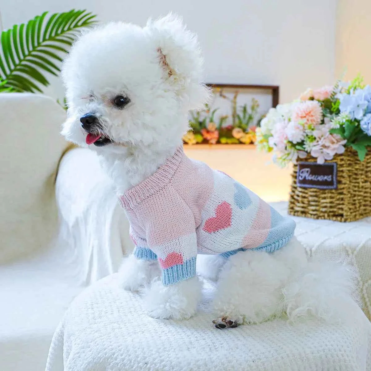1PC Pet Clothing Spring and Autumn Dog Hoodie Elastic Blue Pink Love Jacquard Sweater Suitable for Small and Medium sized Dogs