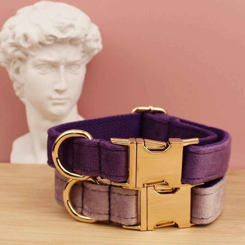 Velvet Collar Free Engrave Dog Collar Leash For Medium Big Pet Necklace Dog Accessories Dog Collars