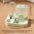 2-in-1 Large Pet Feeder & Water Dispenser, Dry Wet Separation, Durable Plastic, Transparent, No Battery, For Cats Dogs Travel