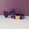 Velvet Collar Free Engrave Dog Collar Leash For Medium Big Pet Necklace Dog Accessories Dog Collars