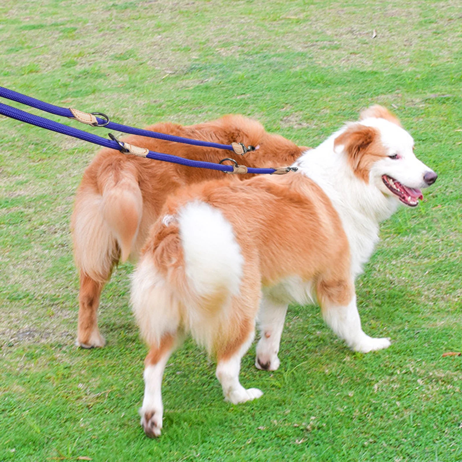 210cm Multipurpose medium size Dog Double Leash Leashes Adjustable And Nylon Luxury Hands Free Small Dog Leash For 2 Dogs