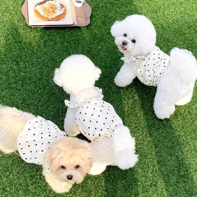 Luxury Pet Suspenders Dog Summer Dress Dot Puppy Skirt Chihuahua Bichon Dog Apparel Cat Clothing Small Dog Vest Girl Dog Clothes