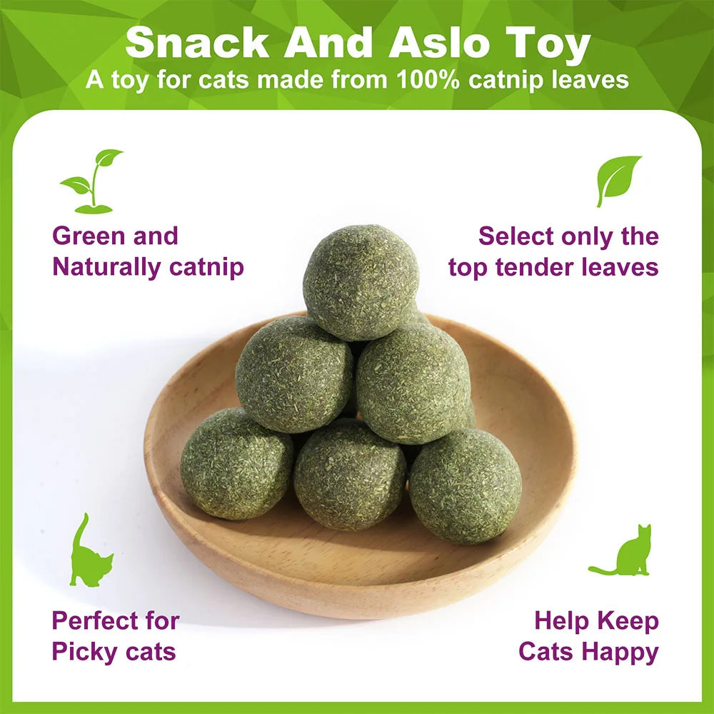 Organic 100% Natural High Quality Catnip Cattle Grass Mint Taste Funny Cat Toy New Cat Toy Interactive Cat Toys Pet Supplies