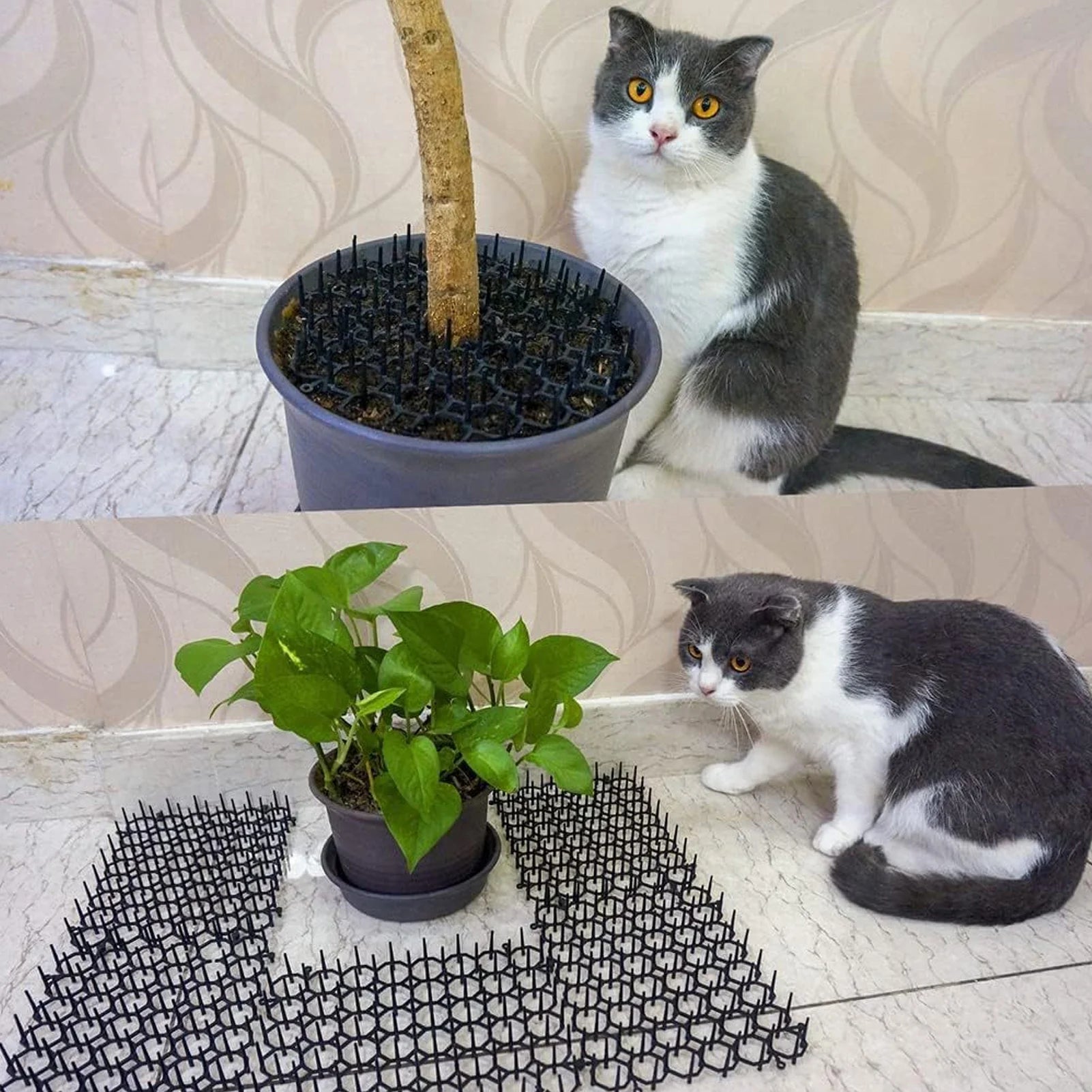 12Pcs Cat Deterrent Mat Anti Cat Dog Network Repellent Training Plastic Spike Mat for Keeping Away Cats Dogs Protecting Plants