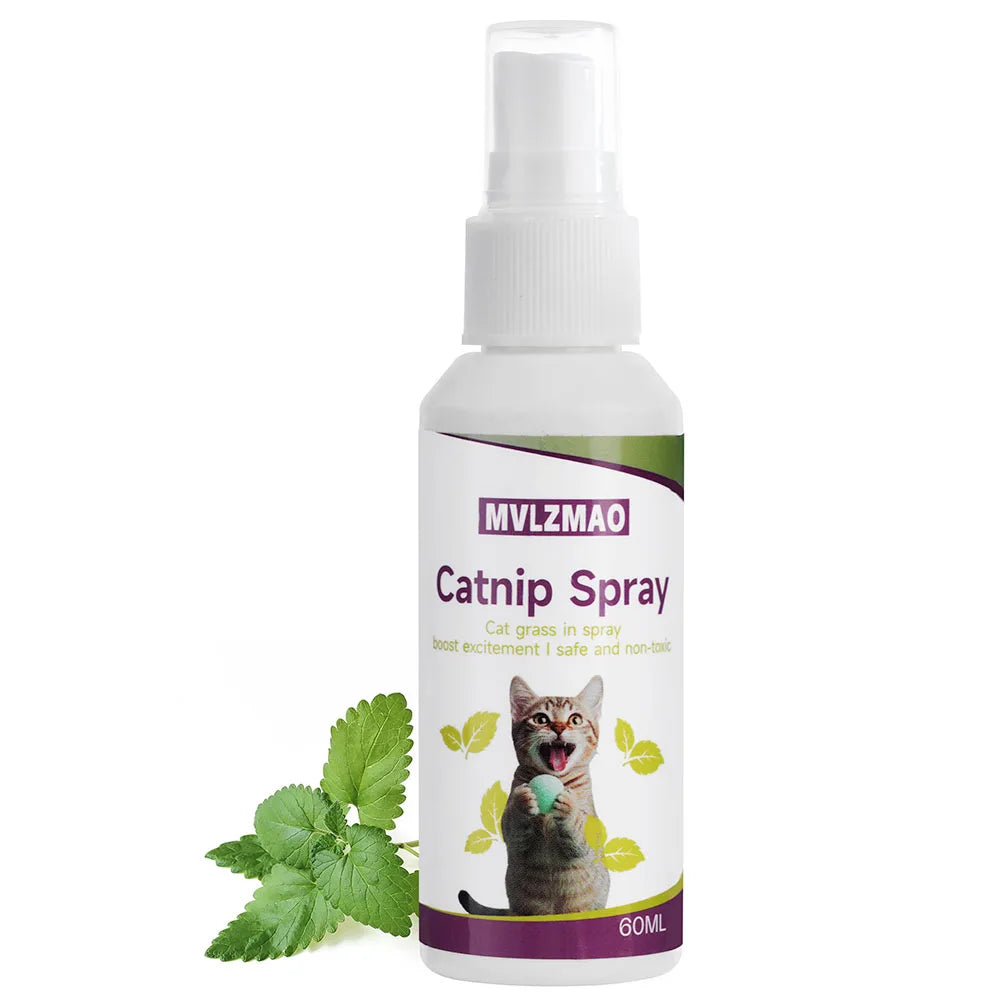 Organic 100% Natural High Quality Catnip Cattle Grass Mint Taste Funny Cat Toy New Cat Toy Interactive Cat Toys Pet Supplies
