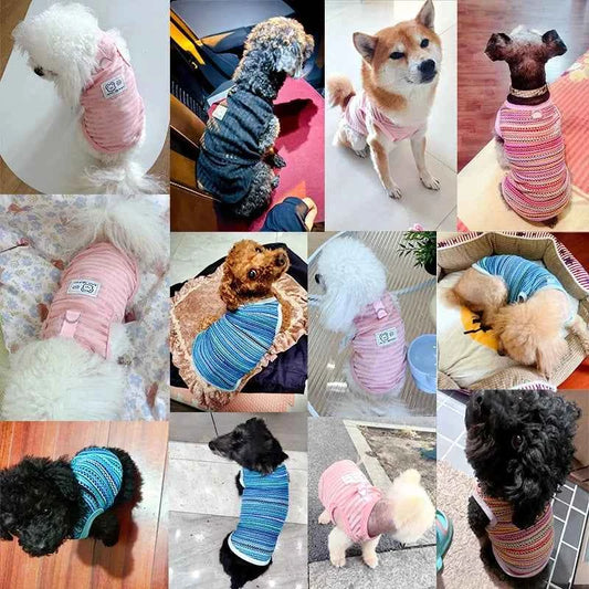 Summer Pet Vest for Small Medium Dog Cooling Clothes Chihuahua French Bulldog Breathable Clothes Puppy Casual Shirt Dog Costume