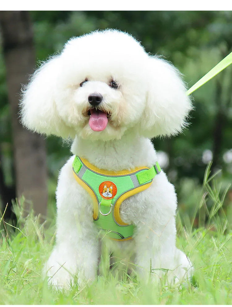 Pet Dog Harness and Leash Set Adjustable Flannel Chest Harness Reflective Breathable For Small Dogs Teddy Chihuahua Pet Supplies