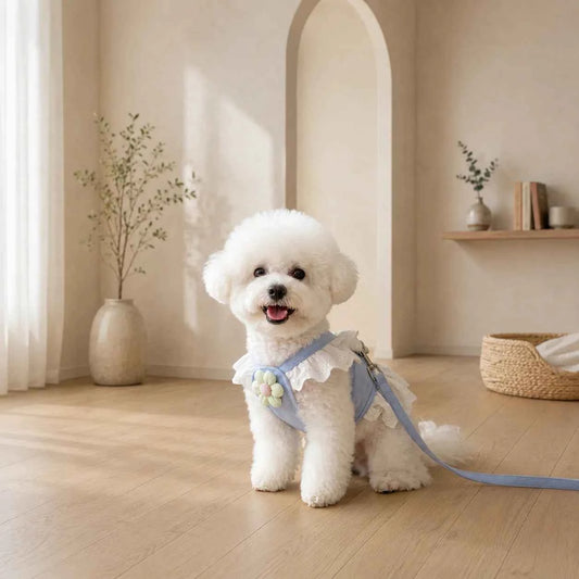 Floral Lace Pet Harness Dress with Leash, Ruffle Edge Vest Outfit for Small Dogs and Cats, Breathable Walking Harness