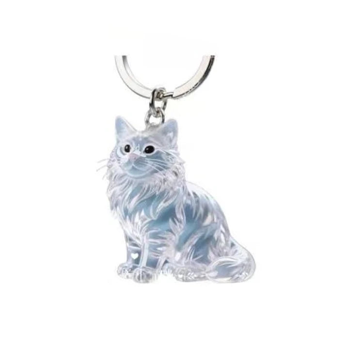 Dog Cat Hair Storage Pendant Keychain Box Couple Car Key Chains Jewelry Souvenir Pet Lover Keepsake Memorial Keychain Gift Decor