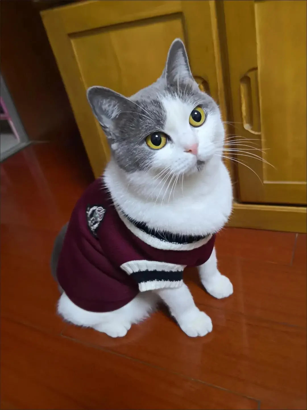 Autumn Winter Pet Cat Dog Sweater Warm Coat For Small Medium Large Dogs Kitten Pullover Puppy Vest Warm Pet Clothes Cat Costume - Play Paws Toys