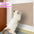 DIY Cat Scratching Post Sofa Protection Self-adhesive Carpet Cats Scratch Board Cats Toys Anti Cat Scratch Sofa Cat Crawling Mat