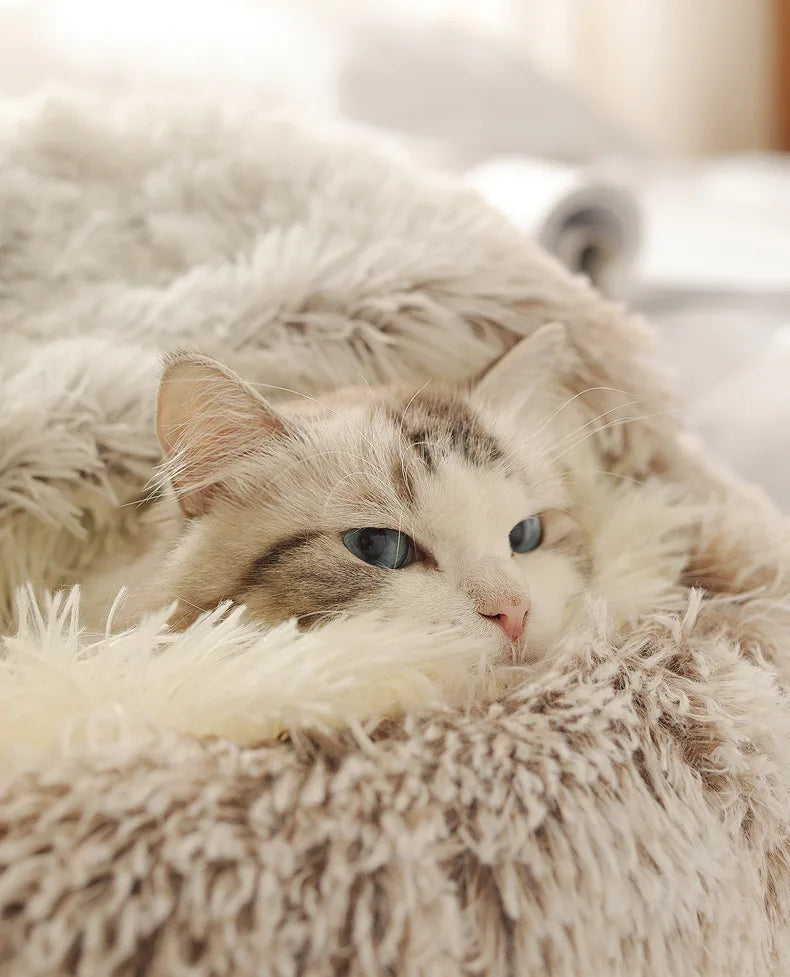 Autumn and Winter soft plush pet bed and pet bed Winter warm and cold plush comforter nest Shell cat nest semi-enclosed cat nest - Play Paws Toys